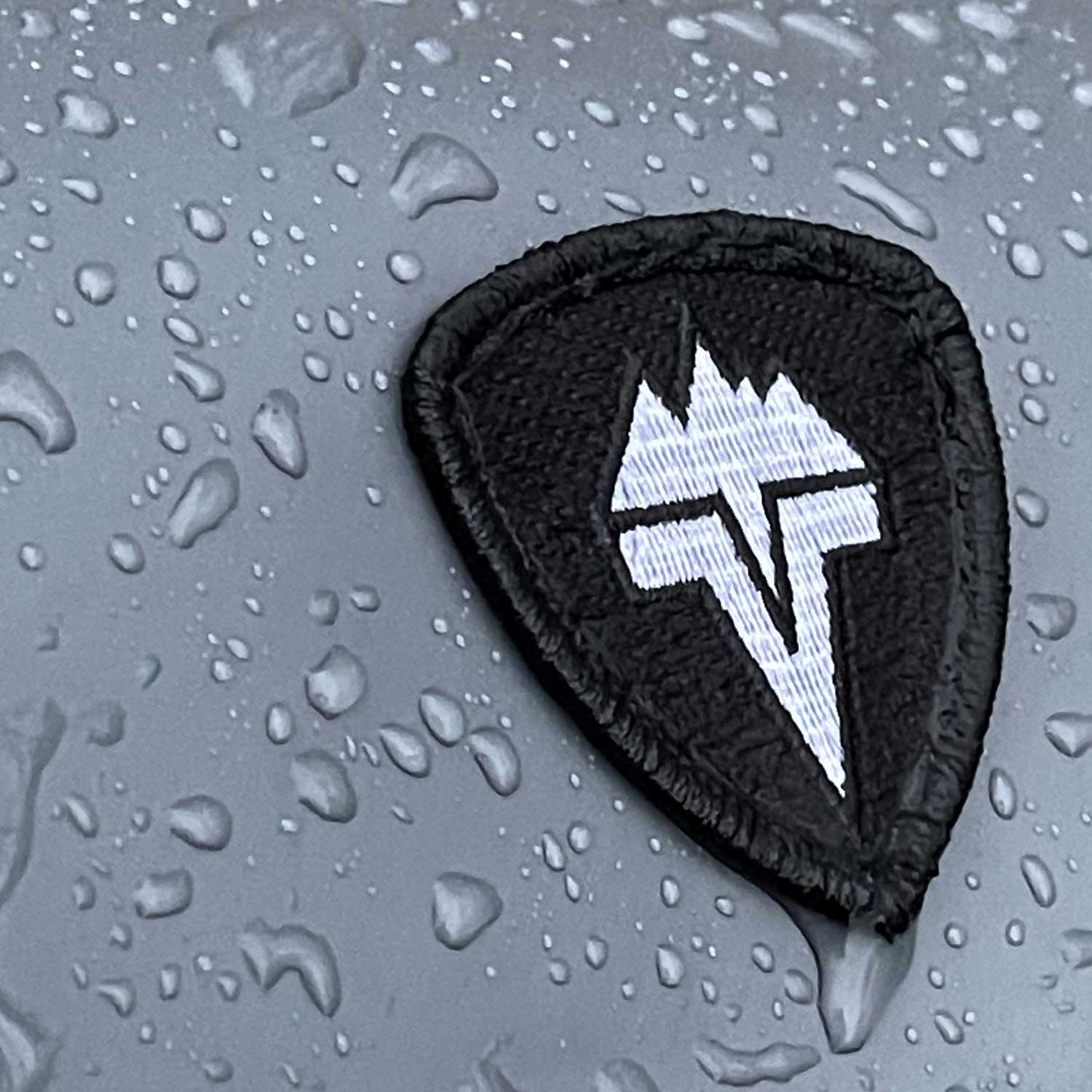 Official Vedavoo Logo Emblem