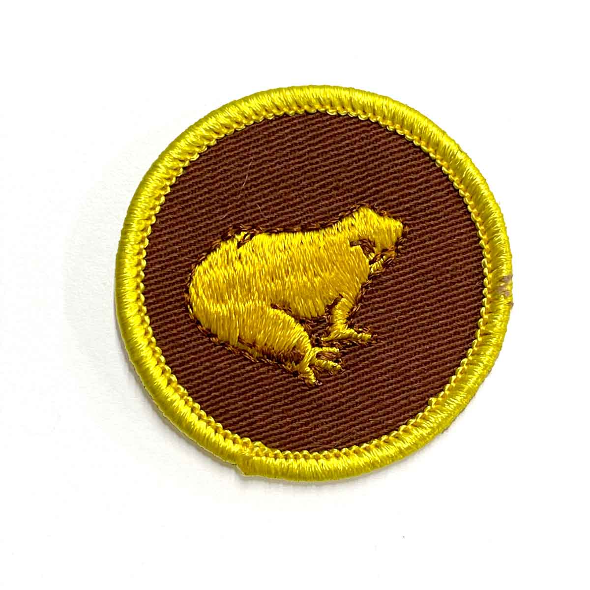 Vintage Golden Frog Emblem